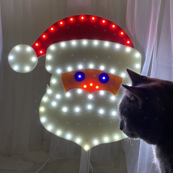 Santa 🎅🏻 Clause - Picture 4 of 14